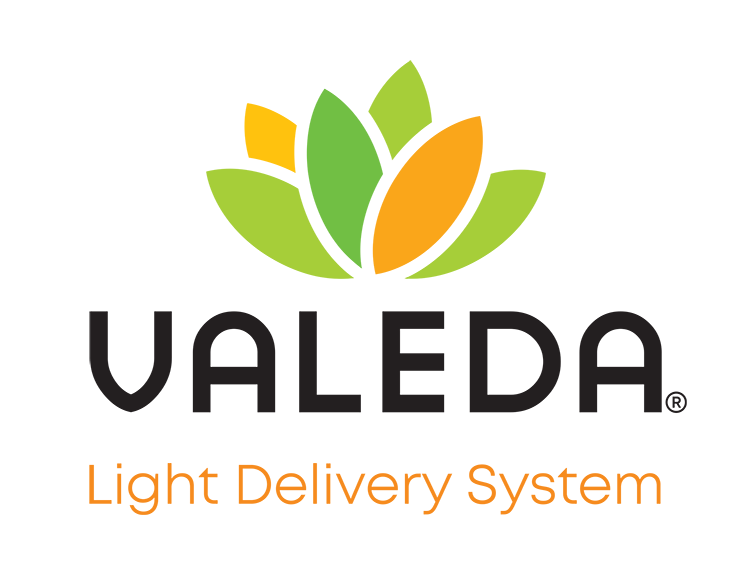 Valeda Logo Full Name_Small Home